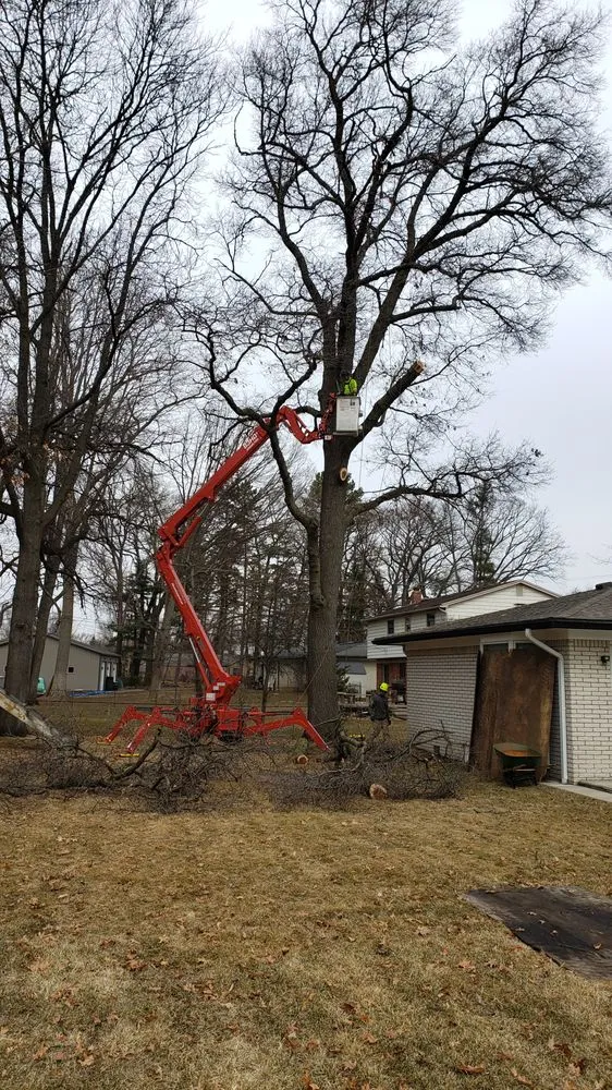 Professional landscaping services experts serving Warren, MI - Branch Tree & Landscape Service