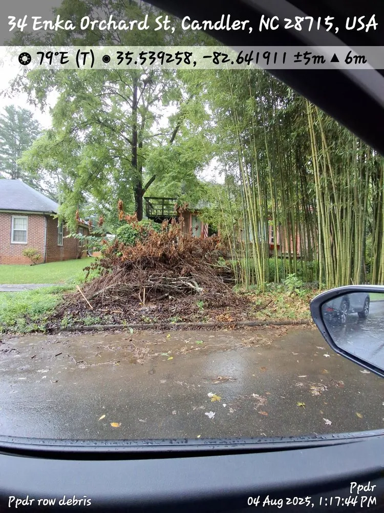 Custom yard cleanup service for homes across Hendersonville, NC - Branch Tree Care and Removal