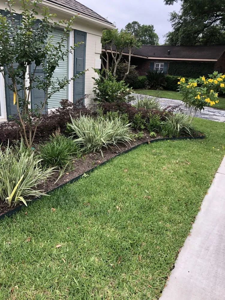 Reliable landscape installation experts serving Houston, TX - Branchbusters Tree Service