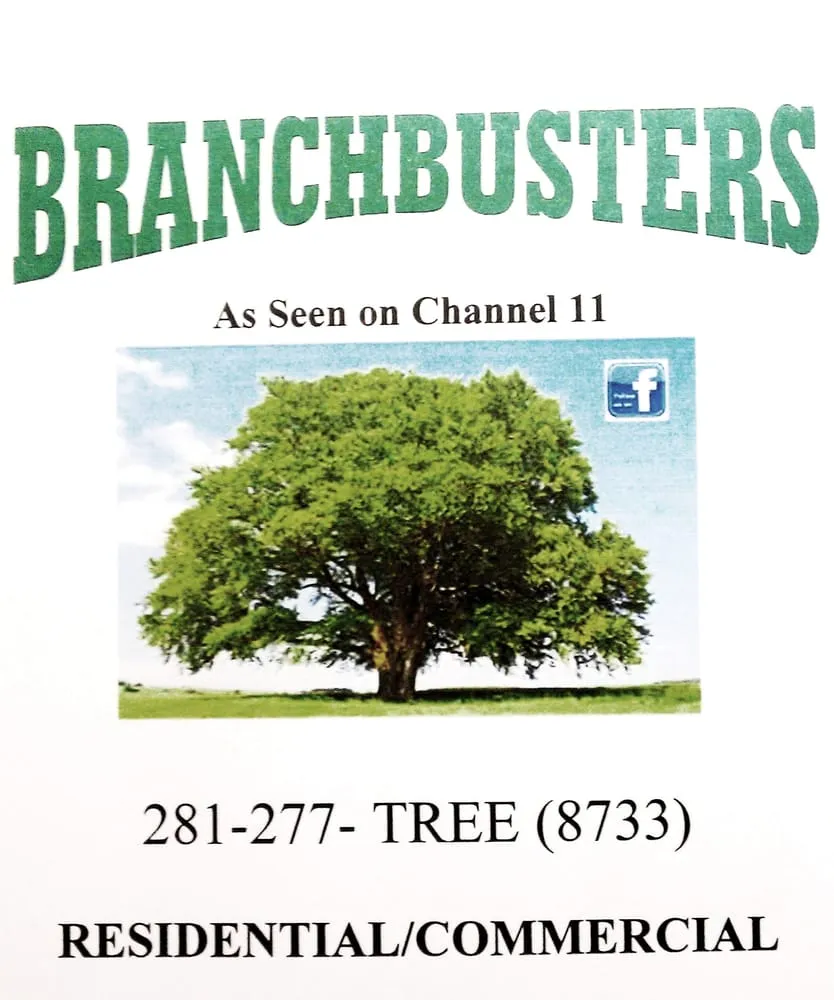 Expert landscaping services in Houston, TX by Branchbusters Tree Service