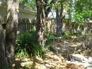 Top-rated lawn mowing service experts serving Houston, TX - Branchbusters Tree Service