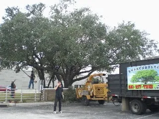 Professional landscape installation for beautiful yards in Houston, TX by Branchbusters Tree Service