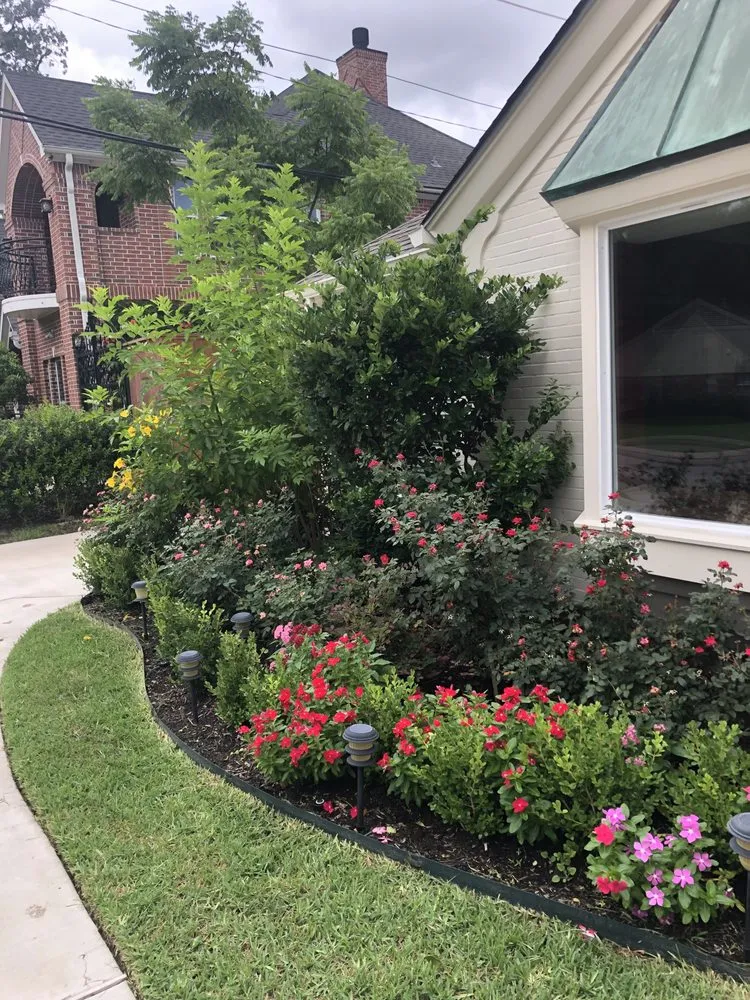 Expert landscape installation experts serving Houston, TX - Branchbusters Tree Service