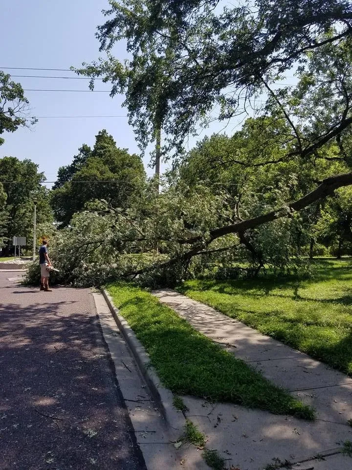 Affordable yard cleanup service in Raymore, MO by Branched Out