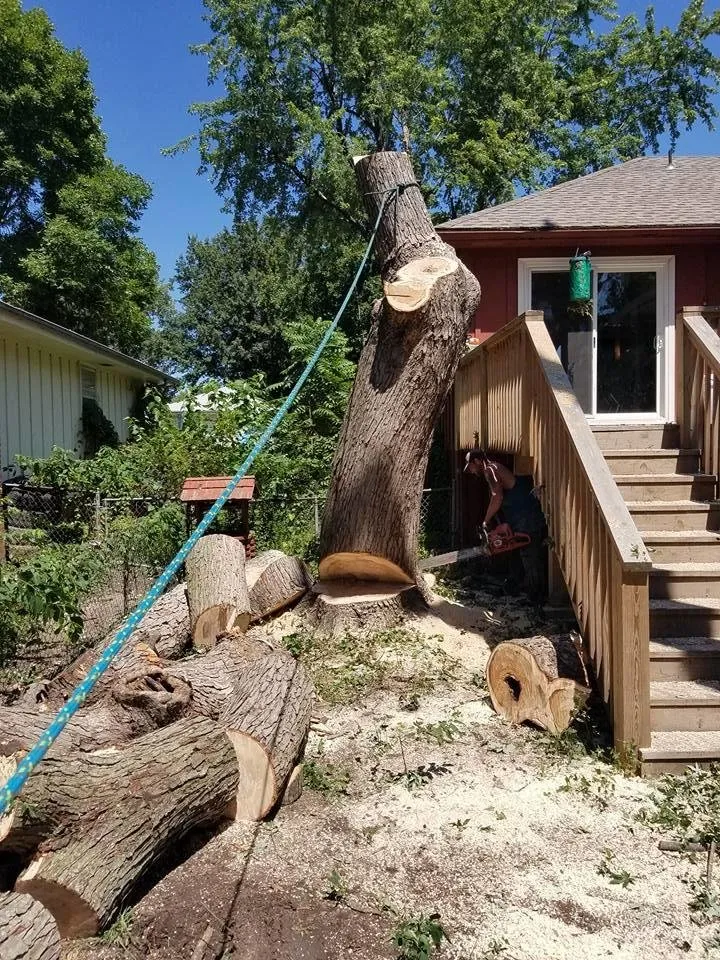 Reliable lawn care service with custom design across Raymore, MO - Branched Out