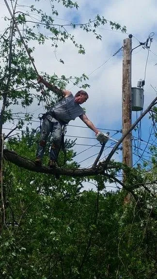 Trusted lawn mowing service for outdoor upgrades across Raymore, MO - Branched Out