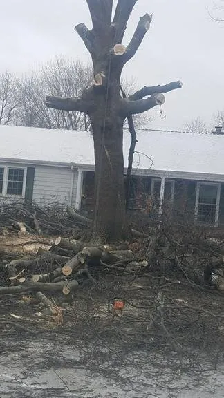 Custom outdoor landscaping in Raymore, MO - Branched Out