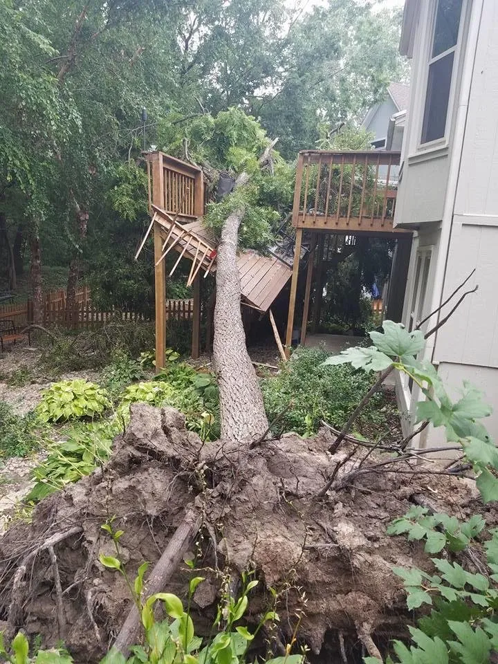 Reliable landscape installation experts serving Raymore, MO - Branched Out