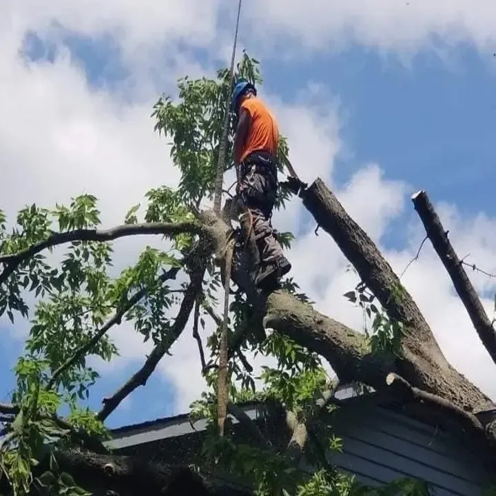 Custom garden landscaping in Raymore, MO by Branched Out