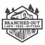 Affordable landscaping services experts serving Raymore, MO - Branched Out