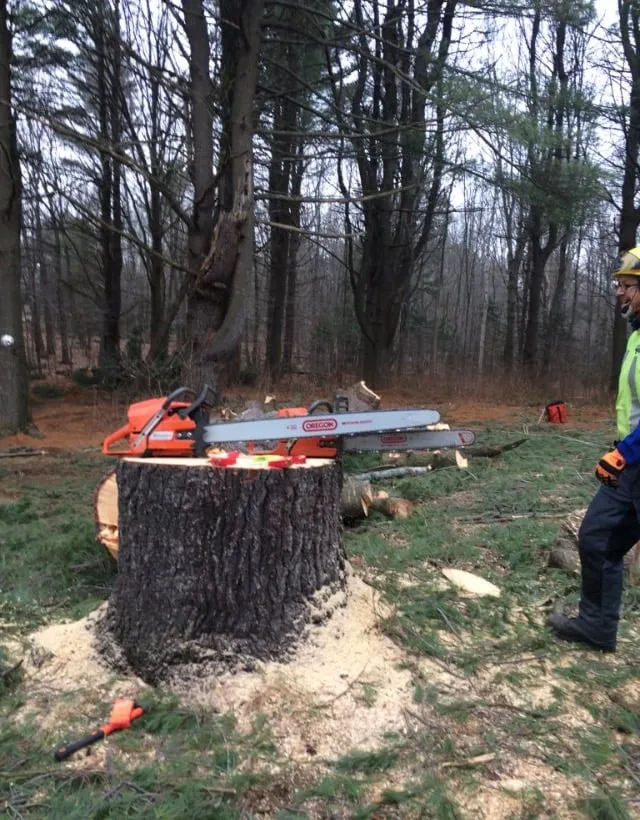 Custom lawn care service for homes in Glen Ellyn, IL by Branches to Roots