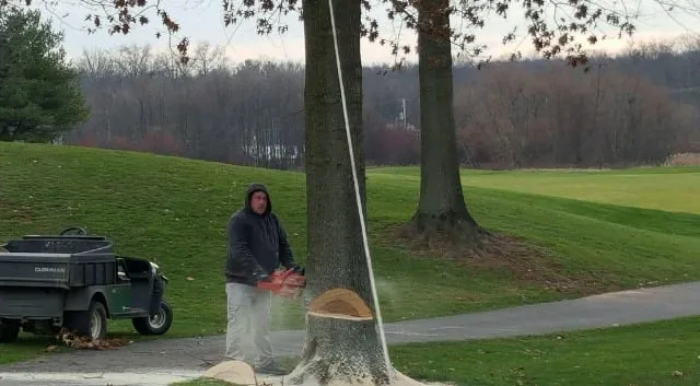 Top-rated garden landscaping near you across Glen Ellyn, IL - Branches to Roots