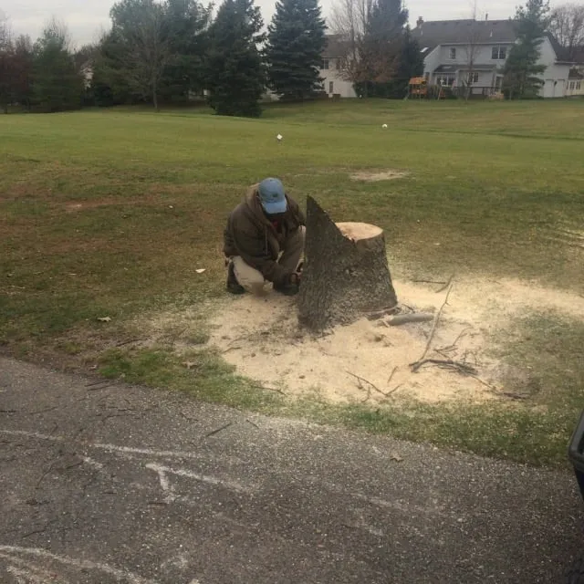 Professional landscape design near you across Glen Ellyn, IL - Branches to Roots