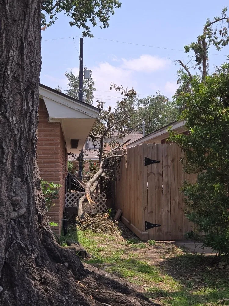 Custom garden landscaping in Huntsville, TX - Branching Out