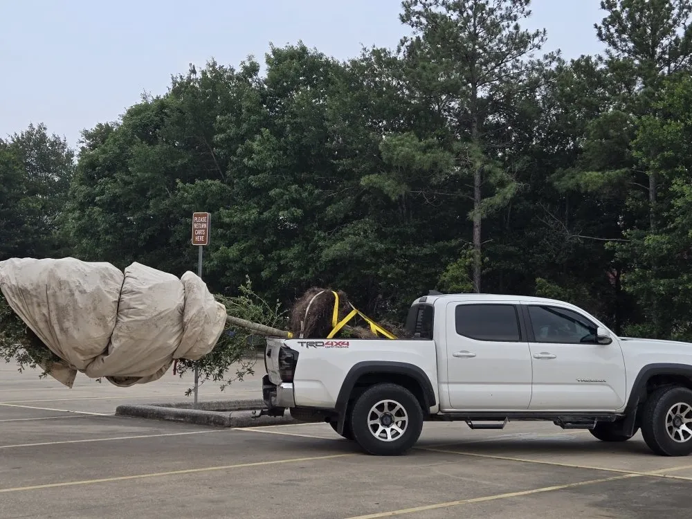 Local lawn mowing service for year-round maintenance across Huntsville, TX - Branching Out