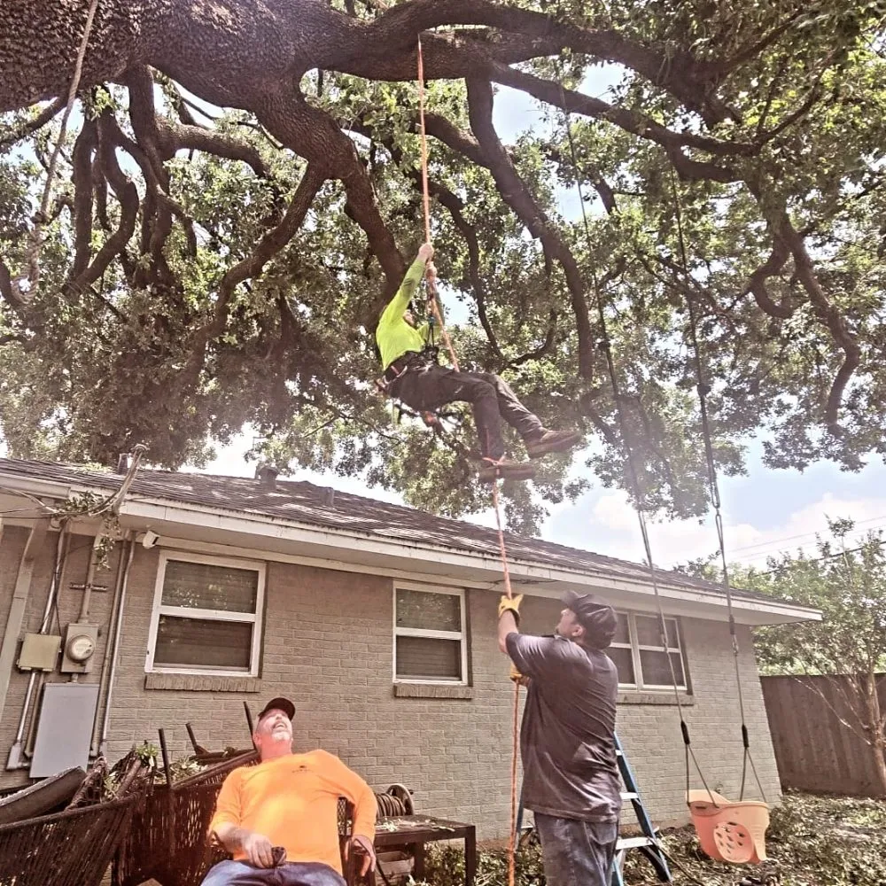 Affordable garden landscaping in Huntsville, TX - Branching Out