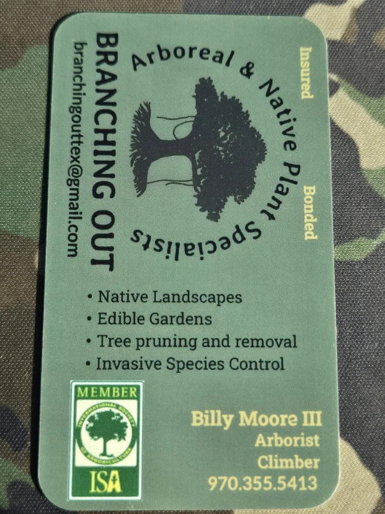 Local landscape design in Huntsville, TX - Branching Out