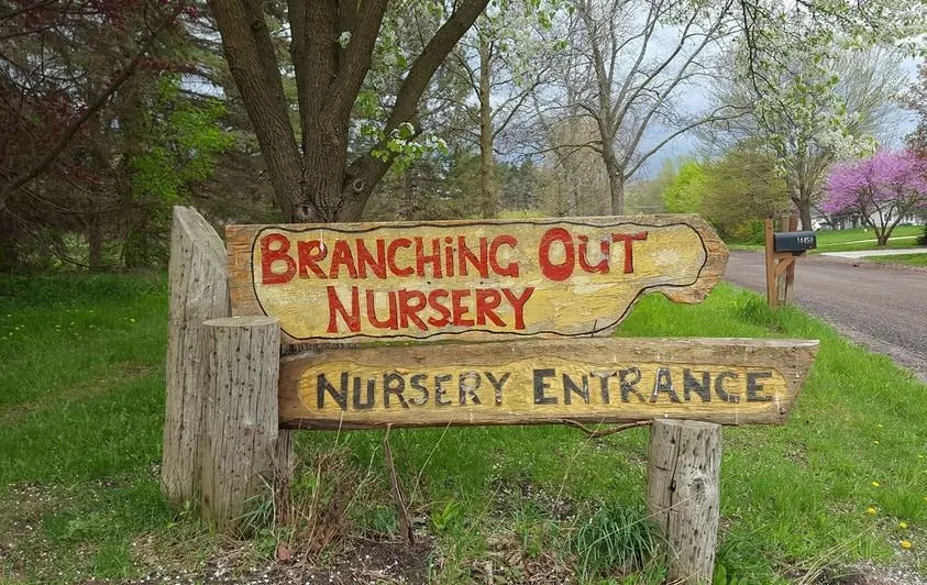Trusted lawn care service experts serving Fenton, MI - Branching Out Nursery