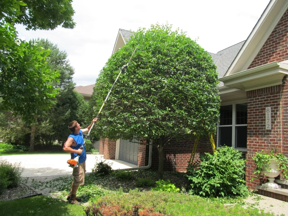 Professional landscaping services near you across Woodbury, MN - Branching Out Shrub Trimming