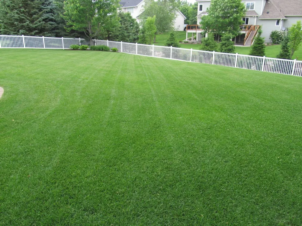 Top-rated outdoor landscaping in Woodbury, MN by Branching Out Shrub Trimming