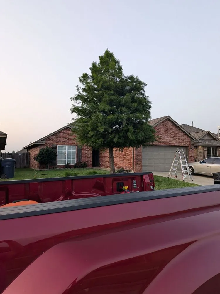 Professional outdoor landscaping in Moore, OK - Branching Out Tree Service