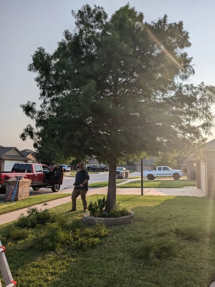 Local yard cleanup service in Moore, OK by Branching Out Tree Service