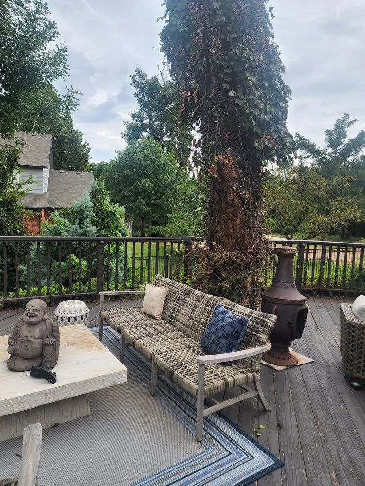 Reliable yard cleanup service experts serving Moore, OK - Branching Out Tree Service