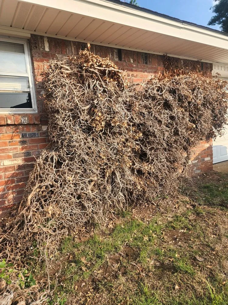 Custom garden landscaping experts serving Moore, OK - Branching Out Tree Service