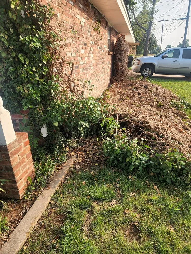 Professional lawn care service in Moore, OK - Branching Out Tree Service