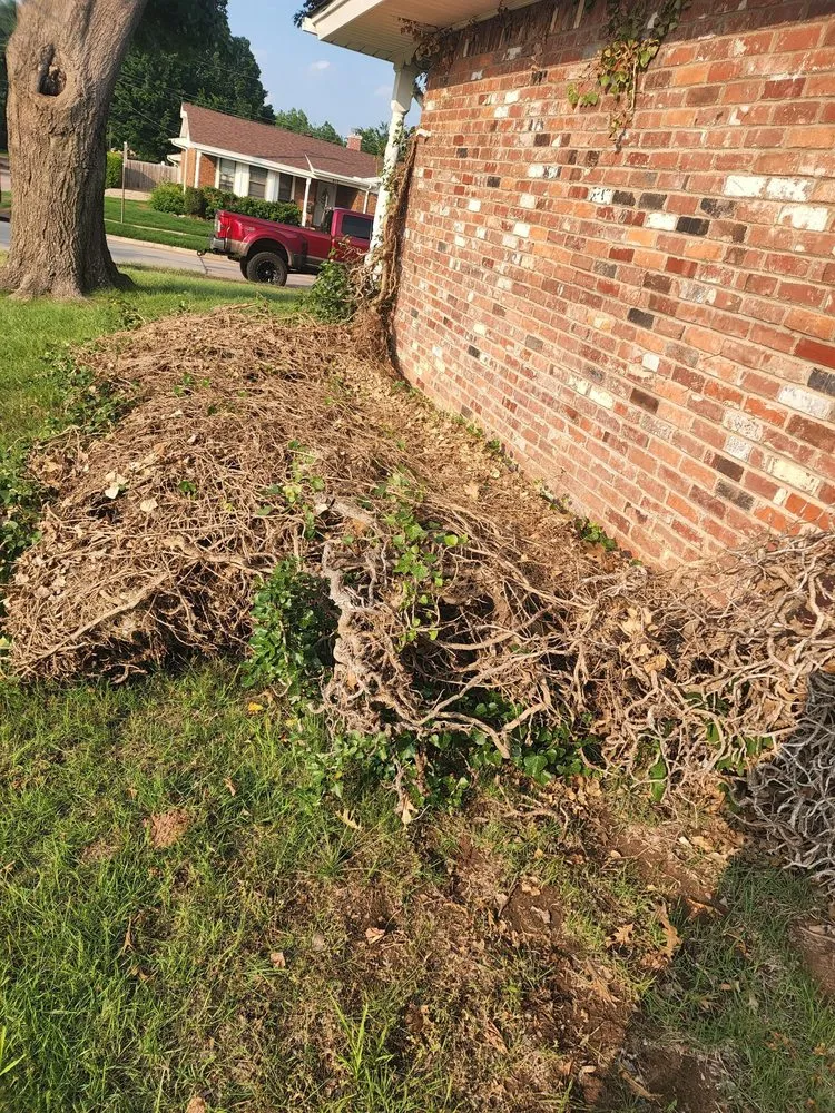 Reliable lawn care service experts serving Moore, OK - Branching Out Tree Service