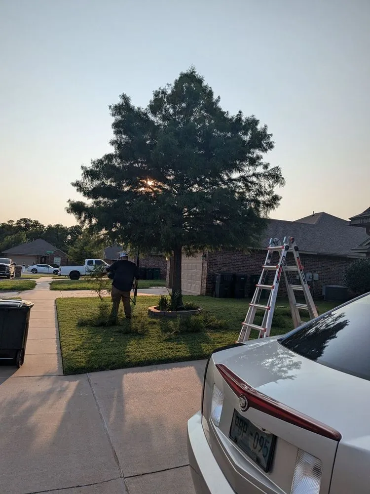 Top-rated landscape installation for residential properties across Moore, OK - Branching Out Tree Service