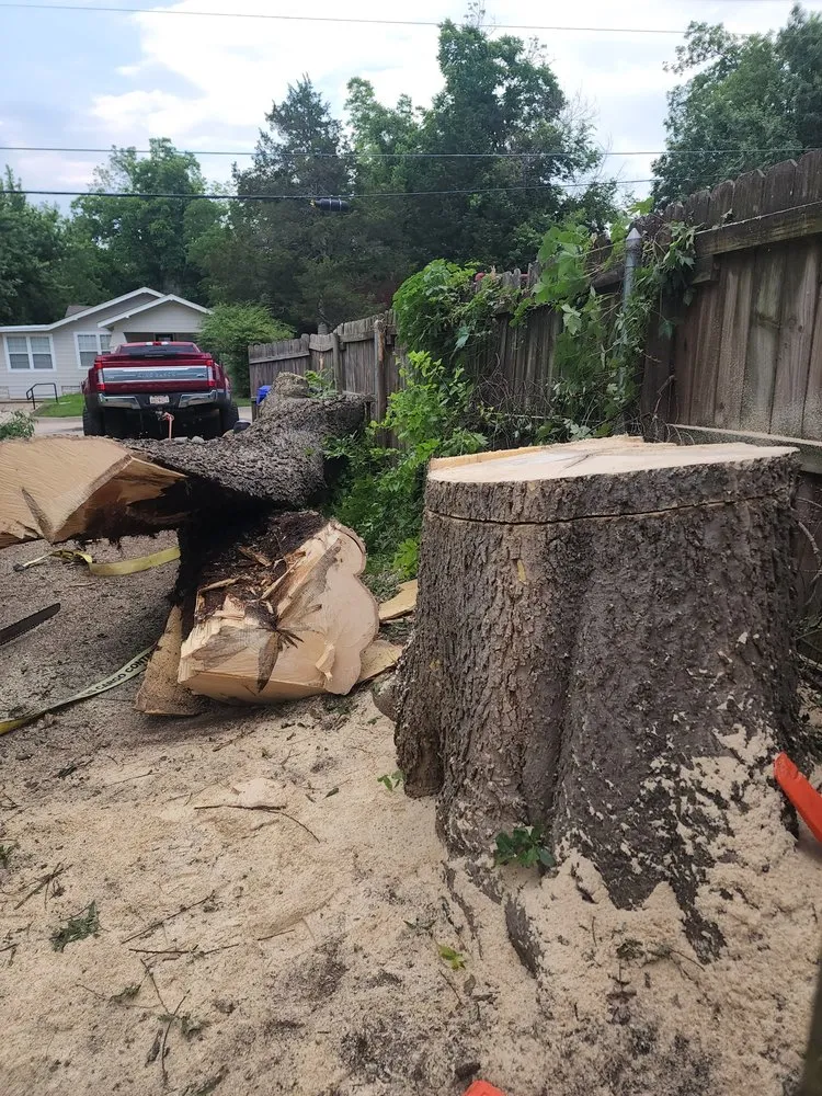 Reliable outdoor landscaping in Moore, OK - Branching Out Tree Service