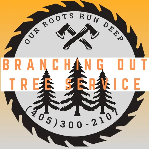 Expert outdoor landscaping for year-round maintenance in Moore, OK by Branching Out Tree Service