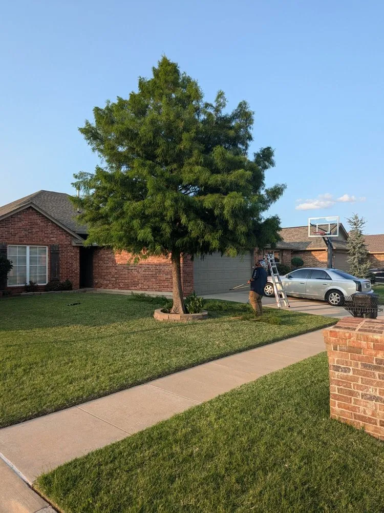 Reliable garden landscaping experts serving Moore, OK - Branching Out Tree Service