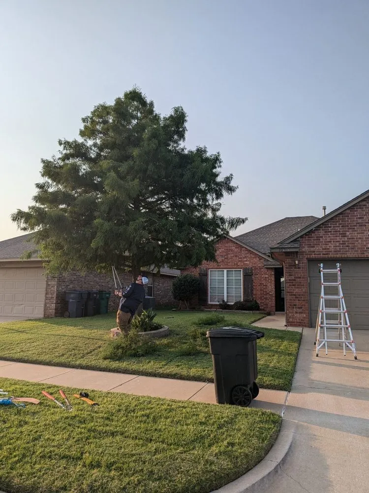 Trusted landscape installation experts serving Moore, OK - Branching Out Tree Service