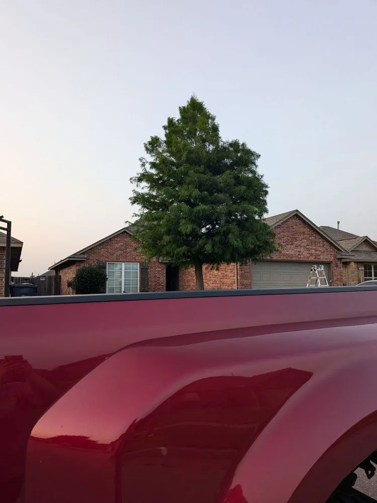 Professional residential landscaping for beautiful yards across Moore, OK - Branching Out Tree Service