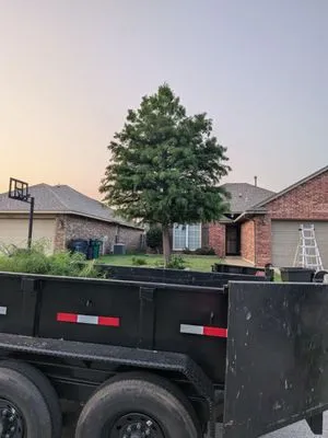 Branching Out Tree Service Logo