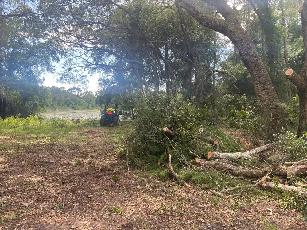 Trusted landscape installation in Belleview, FL by Branching Out Tree Specialist