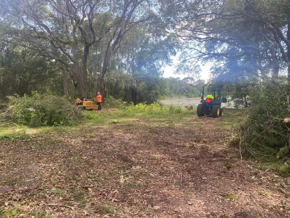Top-rated yard cleanup service in Belleview, FL by Branching Out Tree Specialist