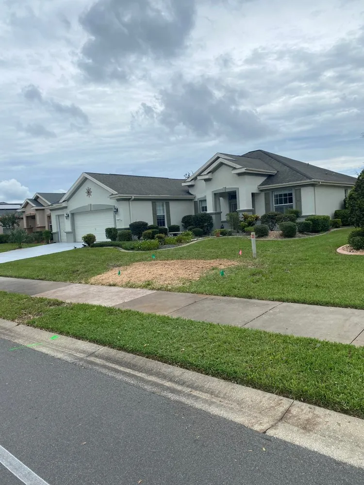 Top-rated outdoor landscaping near you in Belleview, FL by Branching Out Tree Specialist