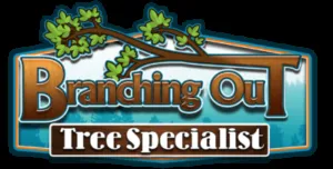 Affordable lawn mowing service in Belleview, FL - Branching Out Tree Specialist