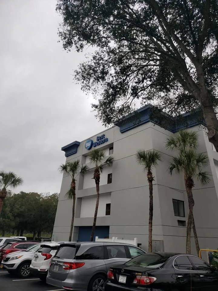 Reliable lawn mowing service in Belleview, FL - Branching Out Tree Specialist