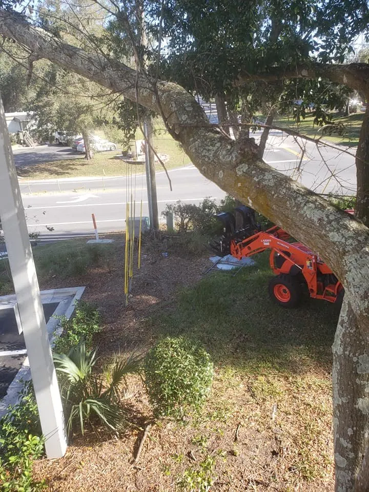 Expert yard cleanup service experts serving Belleview, FL - Branching Out Tree Specialist
