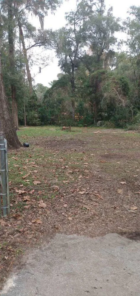 Expert residential landscaping near you across Belleview, FL - Branching Out Tree Specialist