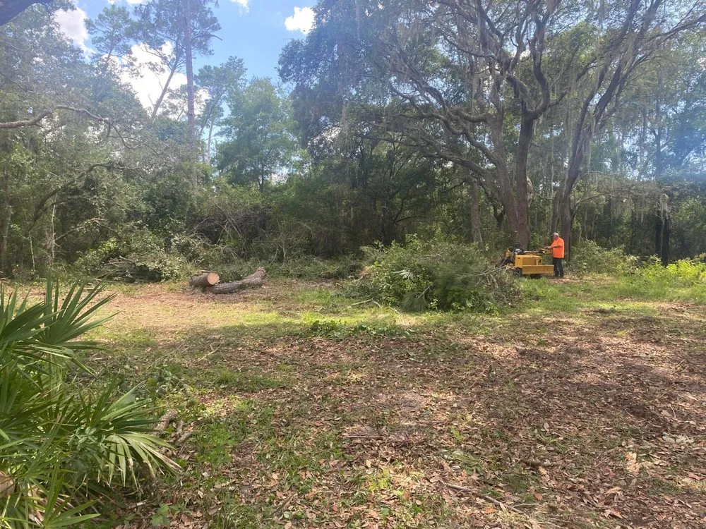 Local landscape installation experts serving Belleview, FL - Branching Out Tree Specialist
