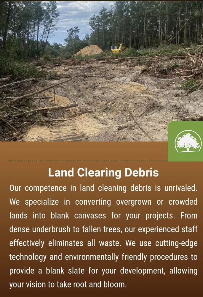 Affordable lawn mowing service in Belleview, FL - Branching Out Tree Specialist