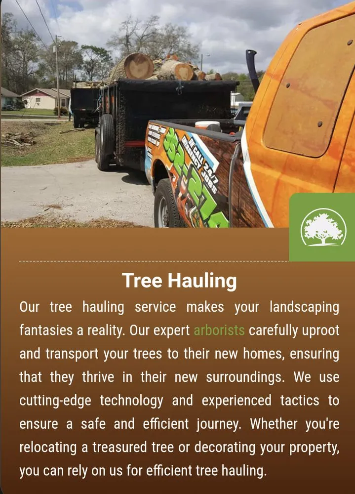 Affordable yard maintenance experts serving Belleview, FL - Branching Out Tree Specialist