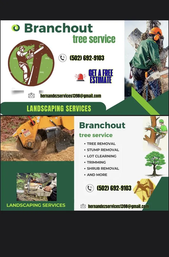Professional lawn mowing service for year-round maintenance across Shelbyville, KY - Branchout Tree service