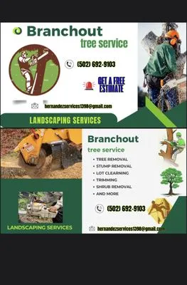 Branchout Tree service Logo