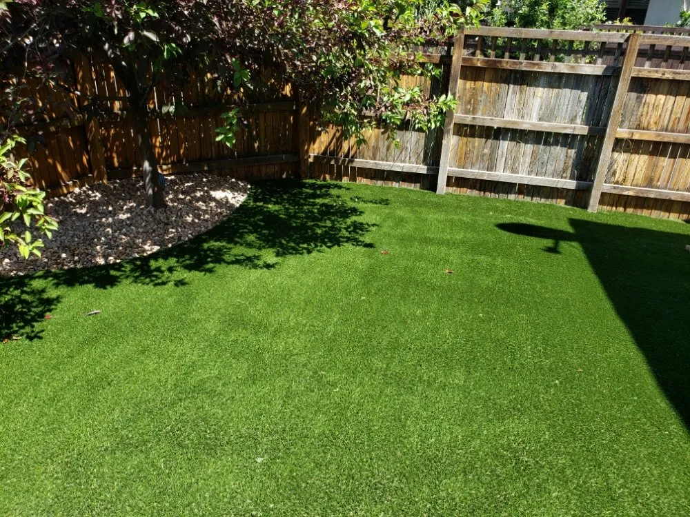 Trusted lawn care service in Brighton, CO - Brand Landscaping
